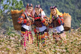 旅游业助力河江省少数民族生活面貌焕发新颜。图自投资报