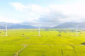 越南庆和省的一处风电工程。图自越通社