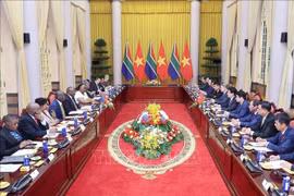 南非总统拉马福萨与越南国家主席梁强举行会谈。图自越通社