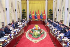 南非总统拉马福萨与越南国家主席梁强举行会谈。图自越通社