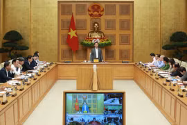 越南政府副总理陈红河发表讲话。图自越通社