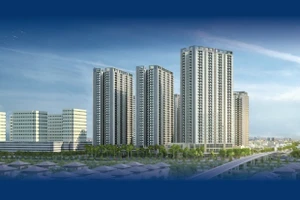 “建设100万套保障性住房”项目的实施结果