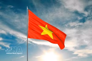 第十六届国会任期：越南政府组织结构