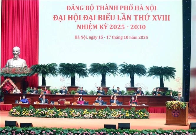 迎接越共十四大：越共河内市第十八次代表大会隆重开幕。图自越通社
