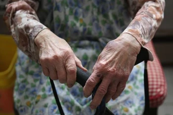 附图。图自thestar.com.my