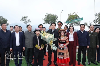 国家主席梁强出席丙午年春季“世世代代铭记胡志明主席功勋” 植树节启动仪式。图自越通社