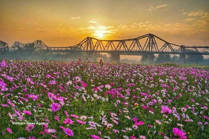 河内的文化与历史象征——龙边桥之美。图自越通社