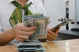 资料图。图自越通社