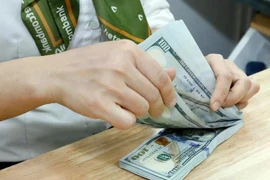 资料图。图自越通社