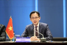 越南常驻联合国代表团团长杜雄越大使。图自越通社