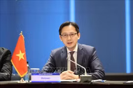 越南常驻联合国代表团团长杜雄越大使。图自越通社
