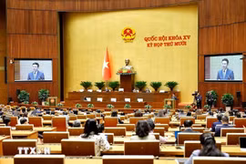 越南第十五届国会第十次会议场景。图自越通社