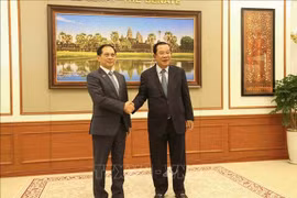 越南政府副总理裴青山与柬埔寨人民党主席、参议院主席洪森亲王。图自越通社