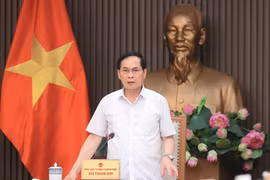 裴青山在会上发表讲话。图自越通社