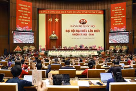 各位代表表决通过大会决议草案。图自越通社