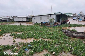 每个人都应积极行动起来，不对塑料污染袖手旁观，而应主动践行绿色生活方式，保护环境。图自Vietnam+