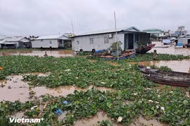 每个人都应积极行动起来，不对塑料污染袖手旁观，而应主动践行绿色生活方式，保护环境。图自Vietnam+