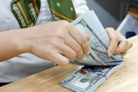 资料图。图自互联网