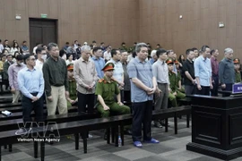 被告人出庭受审。图自越通社