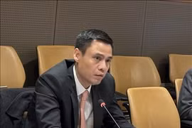 越南外交部副部长邓黄江。图自越通社