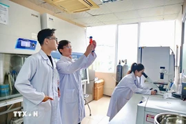 大会文件特别强调了教育培训、科学技术、创新创意和人文建设作为提升竞争力且推动可持续发展的核心动力作用。图自越通社