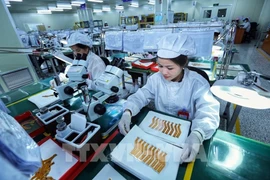 资料图。图自越通社