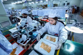 资料图。图自越通社