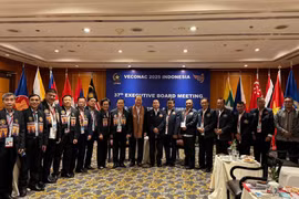 参加2025年东盟老兵联合会第24届大会的越南代表团。图自hoiccbvietnam.vn