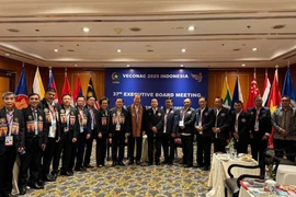 参加2025年东盟老兵联合会第24届大会的越南代表团。图自hoiccbvietnam.vn