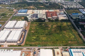 国会决定将农业用地免税期限延长至2023年12月31日。图自越通社