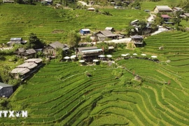 力争建设现代化、富有特色且可持续发展的新农村。图自越通社