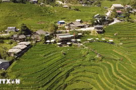 力争建设现代化、富有特色且可持续发展的新农村。图自越通社