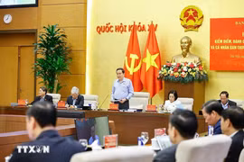 陈青敏在国会常务委员会一场会议上发言。图自越通社
