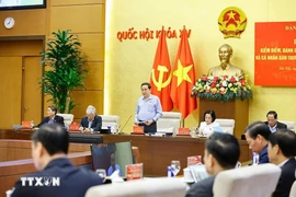 陈青敏在国会常务委员会一场会议上发言。图自越通社