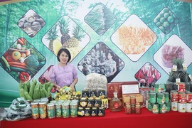 北宁省“一乡一品”产品。图自sanphamthiennhien.vn