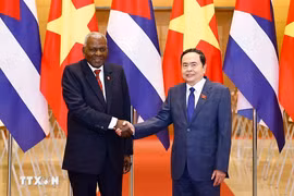 越南国会主席陈青敏与古巴全国人民政权代表大会主席兼国务委员会主席埃斯特万·拉索·埃尔南德斯。图自越通社
