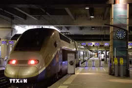 铁路领域被确定为越法重要的优先合作事项之一。图自越通社