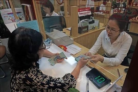 客户在银行办理业务。图自越通社