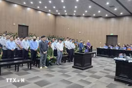 福山集团案被告人出庭受审。图自越通社