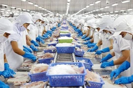 亚行专家认为，2025年越南经济依然稳健增长。图自Vietnam+
