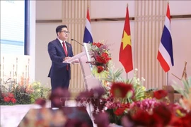 越南驻孔敬总领事丁黄灵在活动上发表讲话。图自越通社