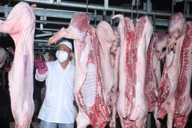 资料图。图自越通社