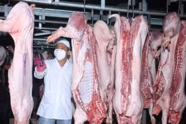 资料图。图自越通社