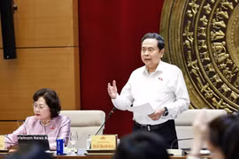 国会主席陈青敏在会上发言。图自越通社