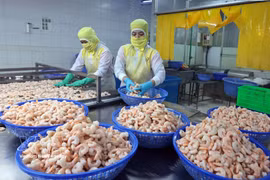 资料图。图自越通社
