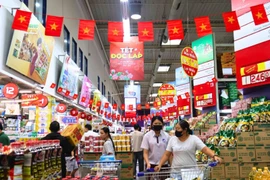 资料图。图自越通社