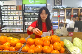 今年春节礼盒市场中，“绿色”、“环保”和“高实用价值”产品明显增多。图自越通社