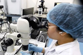 《科技与创新法》共7章73条，旨在为科技创新活动提供法律框架。图自越通社