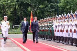 国家主席梁强和法国总统埃马纽埃尔·马克龙检阅仪仗队。图自越通社