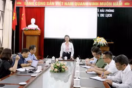 海防市文化体育与旅游局局长陈氏黄梅介绍“杭泾祠神圣之美”夜游路线相关信息。图自越通社